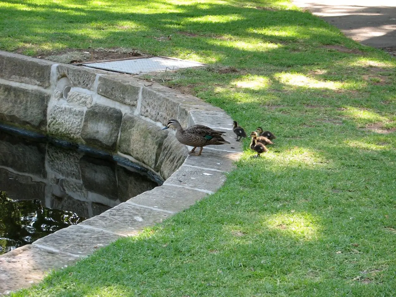 Master Serverless Architecture: Crafting Contemporary Cloud Applications