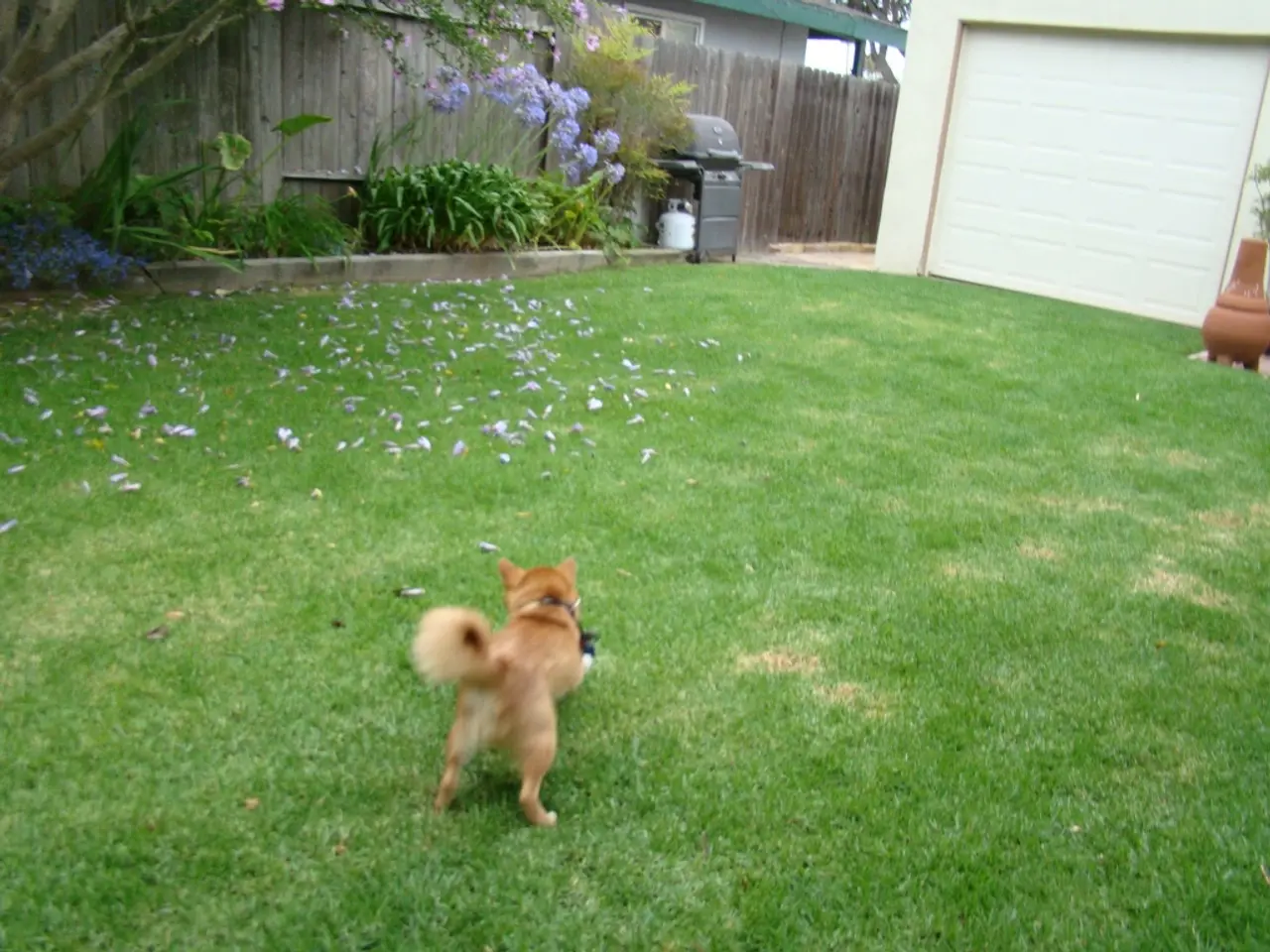 Dogecoin experiences a surge in value as the inaugural US Dogecoin Exchange-Traded Fund exceeds...