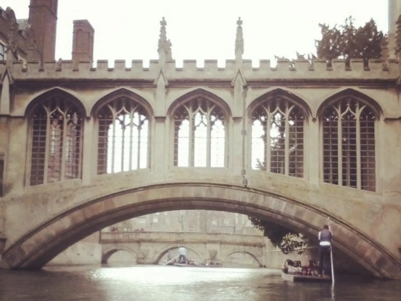 In this image there are two concrete bridges with metal rods, beside the bridges there are trees,...