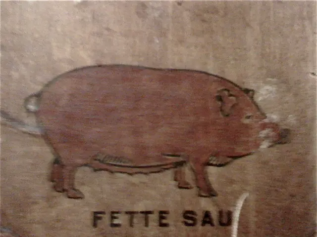 Scientists Train Swine to Manipulate Miniature Video Game