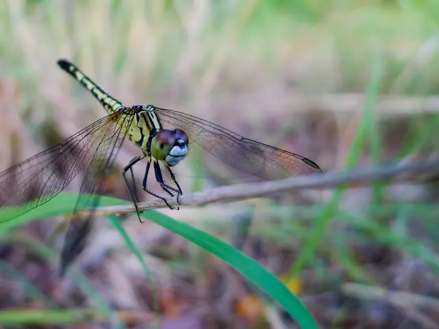 Test chemical's max weight equals its own weight.