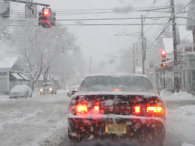 What driveway construction expert suggests as the optimal weather condition for superior results?