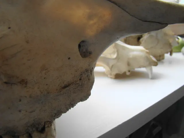 Development Timeline of Ray Tracing: Tracing its Roots from Pioneering Concepts to Modern Real-Time...