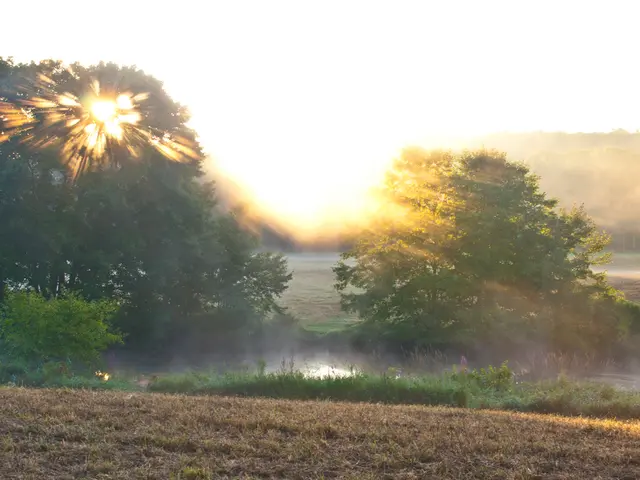 Exploring the Heavens: In-Depth Instructions for Gatherers in FFXIV's Diadem Territory