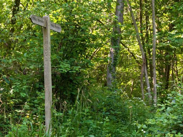 Wordle Solution #1485 Clues and Answer Release for Sunday, July 13th