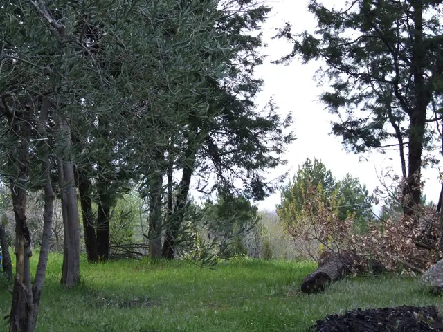 Logistic regression functions as a classification algorithm due to its capacity to predict the...