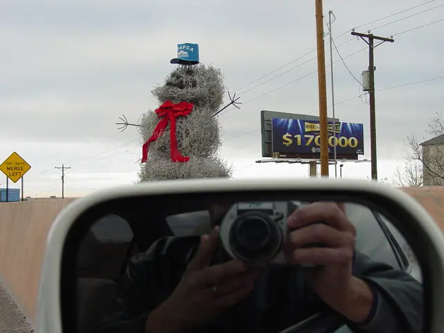 Top-Ranking Nikon Cameras Ideal for Astrophotography in the Year 2025