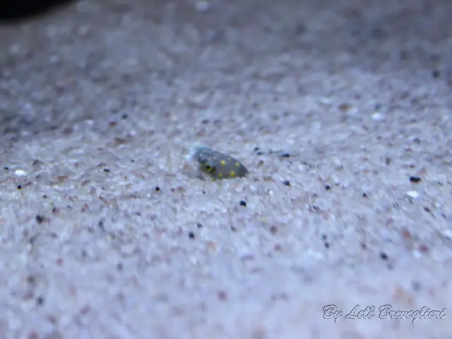 Giant Aluminum Serpent Mold Transforms into PC's Water Cooling System