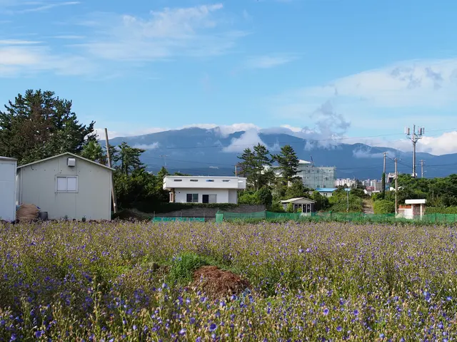 Trump's AI strategy proposes the deployment of flexible energy sources and enhancement of the power...