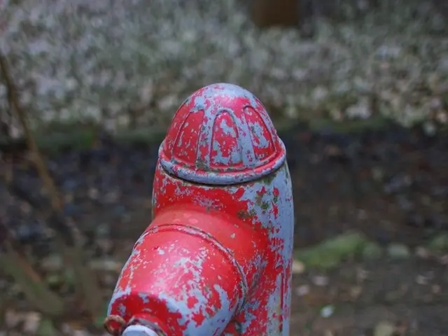 Construct a straightforward Data Pipeline with Python and Docker on Your Own