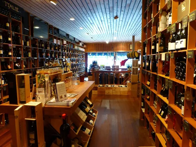 Various Classifications of Data Storage Systems