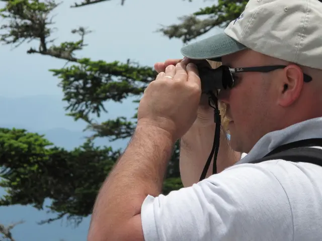 Swarovski Optik's latest Burnt Orange binoculars offer a transparent, top-notch viewing experience...