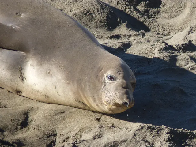 VPN service provider ExpressVPN has integrated the WireGuard protocol, touting it as...