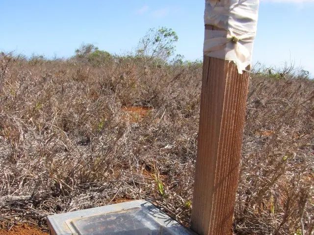 Investigating the Interworking of the Earth's Magnetic Force - Unveiling Our Guardian Barrier