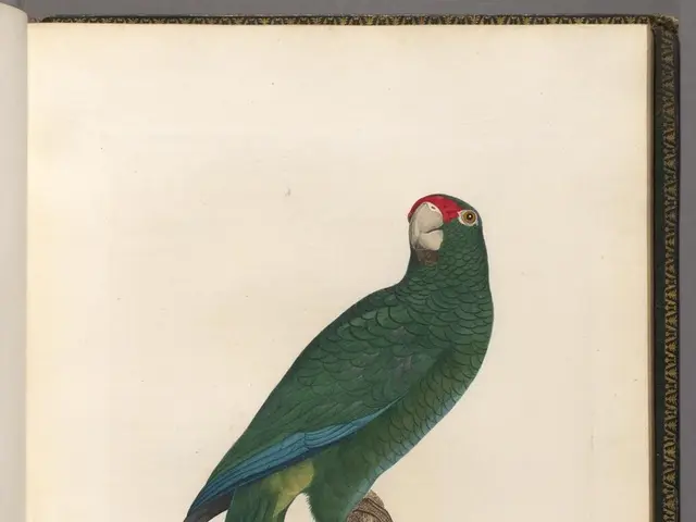 Predicting the future price of Palantir stocks at the end of 2025 based on their current 100%...