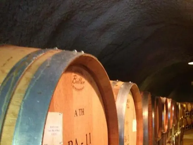 Security Vulnerability in Curl Leaves Community in Suspense with Patch Release