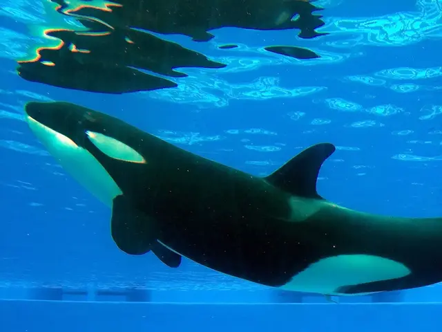 large investor Arthur Hayes purchases more Ethereum, causing its price to momentarily surpass...