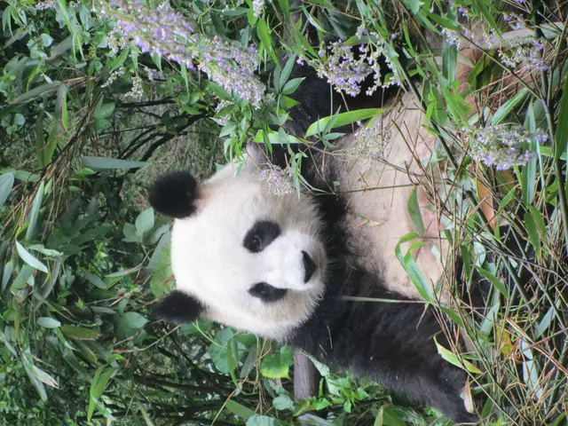 Overlooked Python Advanced Functions You Might Recall