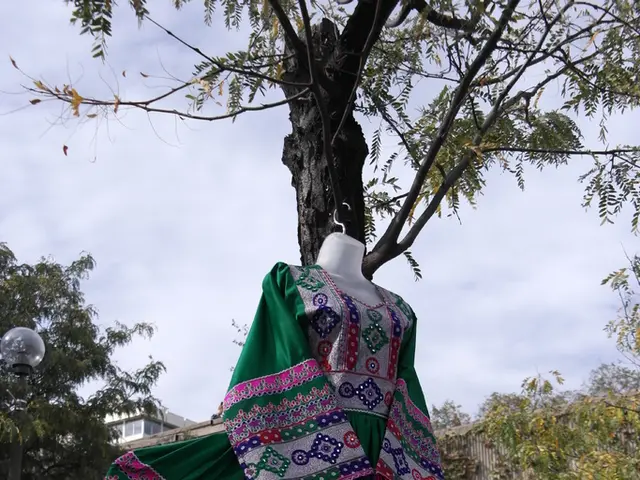 Sophia Franchise aims to grow its network to 100 franchises within the diaspora by 2026,...