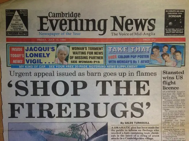 The highest payment for bloggers in Belarus amounts to 22,000 BYN.