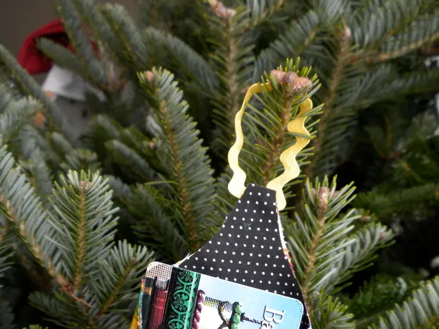 Error Management Strategies in C Programming Language