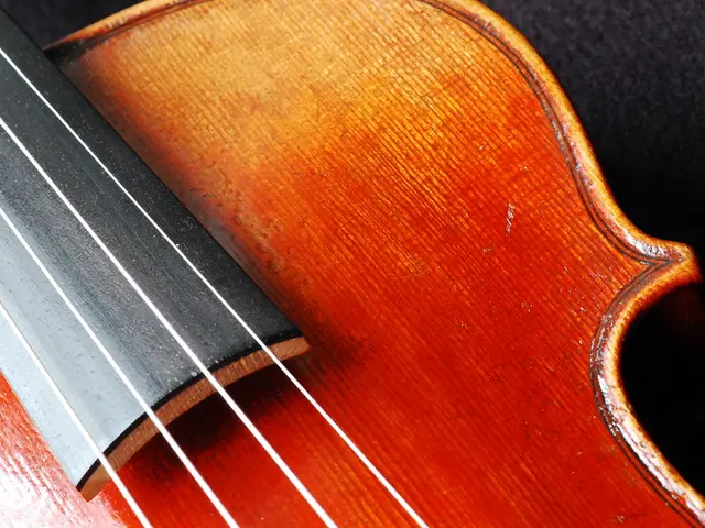 Verify if a string's initial and final characters match using Regular Expressions in Python