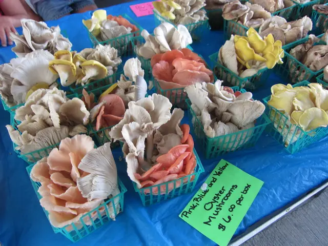 XRP on track for potential growth to $4.19, backed by strong bullish patterns persisting