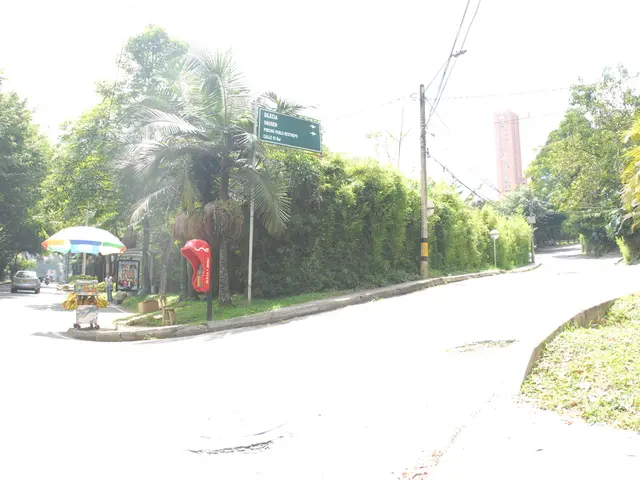 Commission sought to draft a plan for safeguarding workers from radiation hazards associated with...