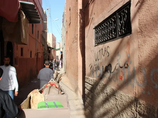 Zambia's SMART initiative teams up with Axis Solutions and ManageEngine for enhanced digital...