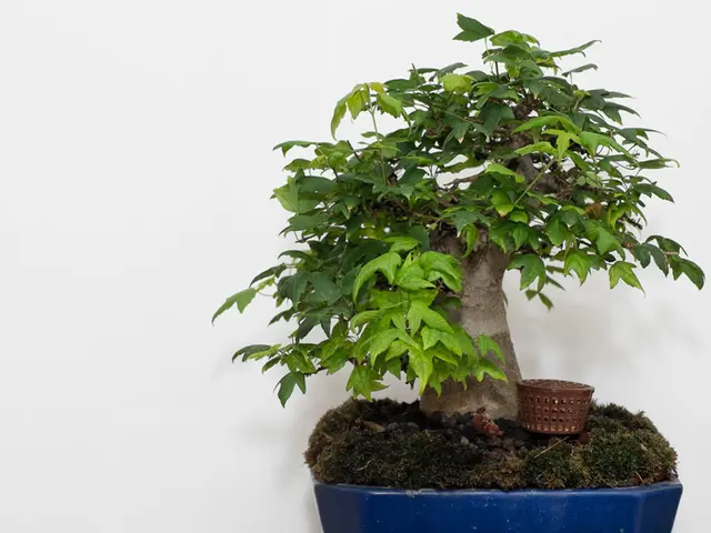 Troubleshooting Virtual Reality Bonsai: Enhancing Maintenance and Simulation in the Realm of...