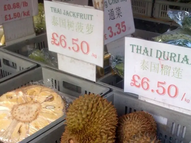 Retail industry shifts further online as 55 e-commerce enterprises lead the charge in digital...