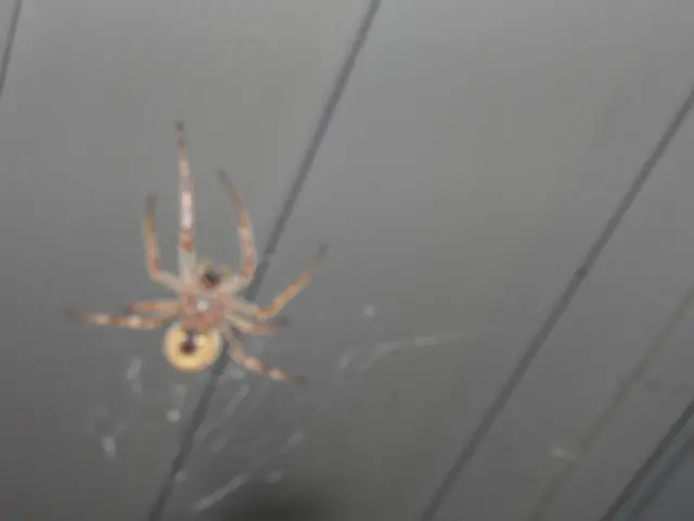 Security Measures to bear in mind when creating your personal webpage