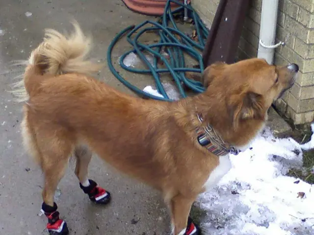 Recyclable PET closure by Nviro1 aimed at single-material packaging solutions