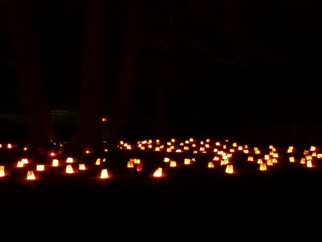 Devices with Malfunctioning Cameras: iPhone Air and iPhone 17 Pro Face Unusual Photography Issues...