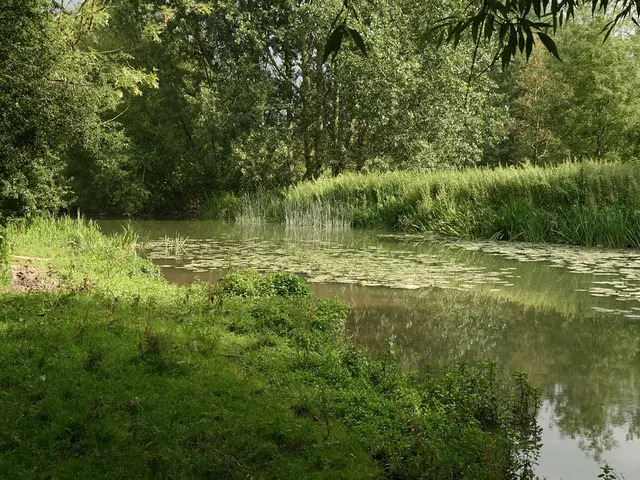 AI facilities will scale back operating time