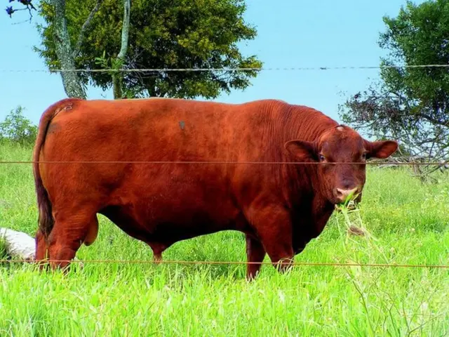 U.S. debuts first Spot Exchange-Traded Fund for Dogecoin, coinciding with a 2.43% drop in the...