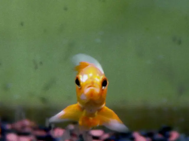 Discovered: Largest Gold Deposit Ever Recorded - Approximately 20 Million Tons Unearthed