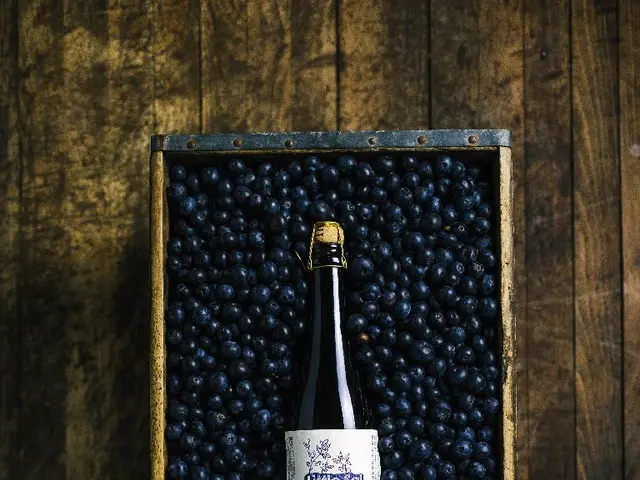 Binance US now supports the Layer 2 solution from the Pudgy Penguins team, known as Abstract Chain.