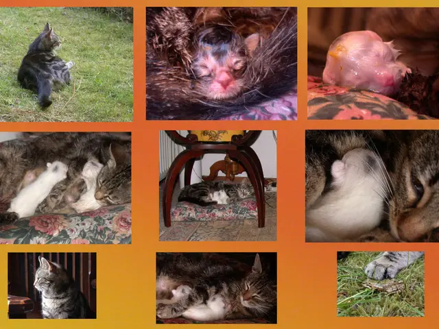 Expanding Hydrolyzed Animal Protein Market Anticipated to Reach USD 800.5 Million by 2034