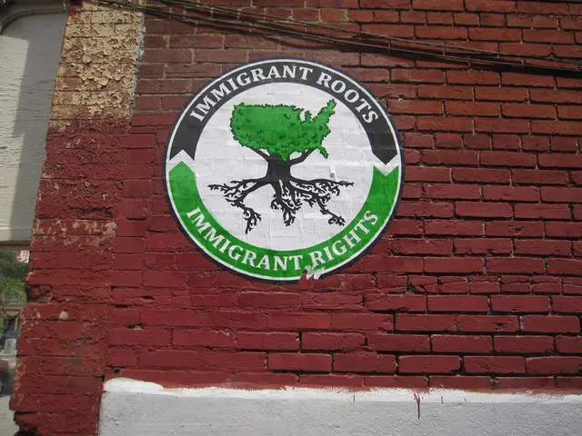 NFL star Tom Brady set to reveal NFT collection, showcasing memorabilia from his initial years in...