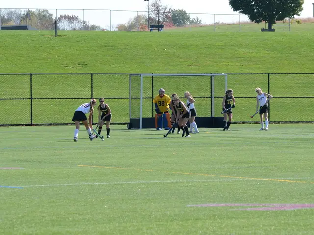 In this picture we can see some people playing hockey game here, there is a goal post here, we can...