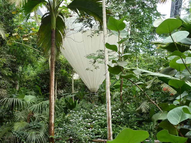 In the image there is a hot air balloon in the middle with plants and trees covered all over it.